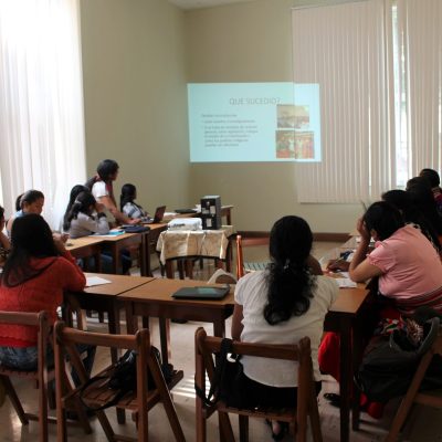 Evaluation of the International Human Rights Program and FIMI incidence strategies